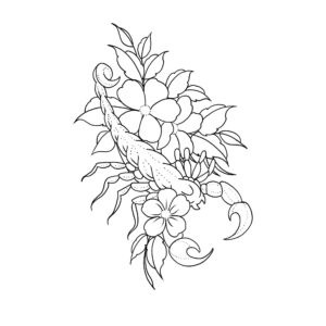 floral scorpion